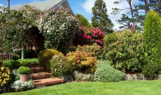 Kings_Garden_5_1_1.jpg